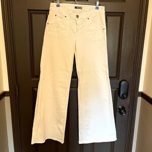 Hudson wide leg pants. Size 29.